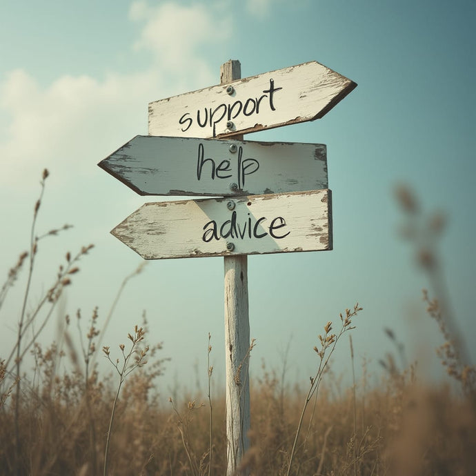 Why Mentorship Matters in Apprenticeships