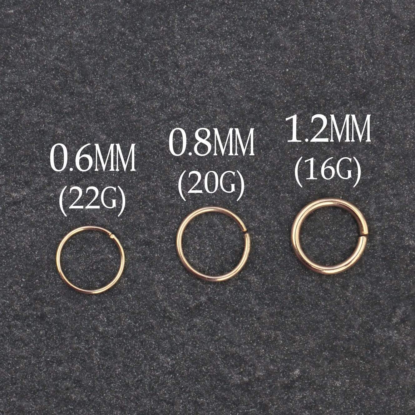 9ct Gold 1x10mm Segment Nose Ring | Goldmark (AU)