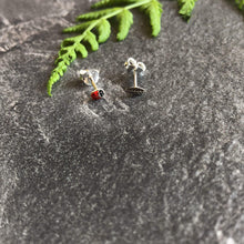 Load image into Gallery viewer, Ladybird &amp; Leaf Mismatch Studs - Asymmetrical Stud Earrings, Cartilage, Helix
