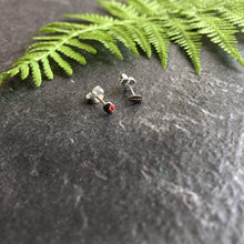 Load image into Gallery viewer, Ladybird &amp; Leaf Mismatch Studs - Asymmetrical Stud Earrings, Cartilage, Helix